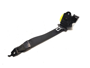 Tesla Model X X (2015–2026) Sicherheitsgurt hinten 1089186-05-D - 2