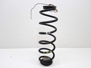 Rear spring