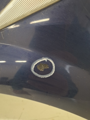 RENAULT Megane II (2002–2009) Vorderer Kotflügel 00295011 - 4