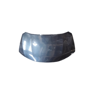 Motorhaube - F510M4CCMA