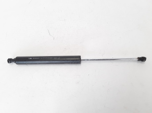   Heckklappendämpfer  - 8200246092 
