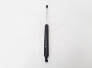 RENAULT Vel Satis (2002–2009) Trunk lid strut 8200246092 - 3