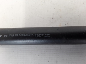 RENAULT Vel Satis (2002–2009) Trunk lid strut 8200246092 - 3