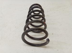 Rear spring - 50016285