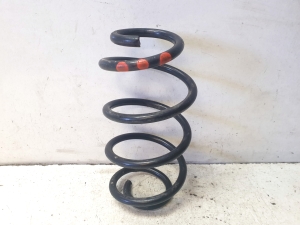 Rear spring