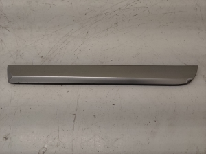 Rear side door molding - 8E0853763