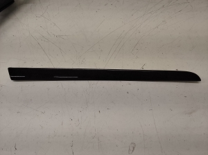 Rear side door panel trim - 8E0867419