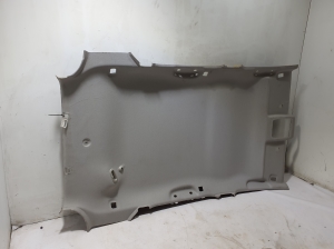 RENAULT Clio IV (2012–2019) Dachhimmel 739109474R - 2