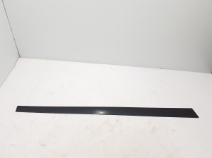 Front door molding - 8W9853959A