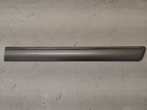 Rear side door molding - A2106900962