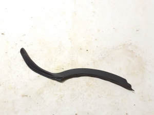  Rear side door seal on the door  - A2477305903 