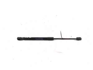 Hood prop/gas strut - 7348853