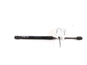 Hood prop/gas strut - 7348853