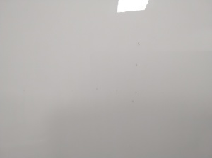 Hyundai IONIQ (2016–2026) Hood - 5