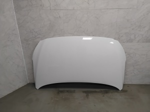 Hyundai IONIQ (2016–2026) Hood - 7