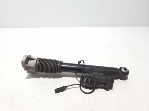   Stoßdämpfer hinten  - A1673202201 