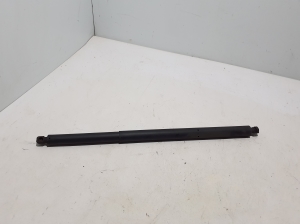 Heckklappendämpfer - A1679800564
