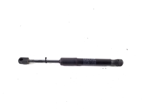   Hood prop/gas strut  - 169257600A 