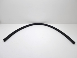   Hood seal  - 119201A0 