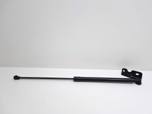   Trunk lid strut  - 9841719880 