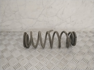   Rear spring  -  
