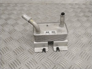   Other radiator  - 25670G7500 
