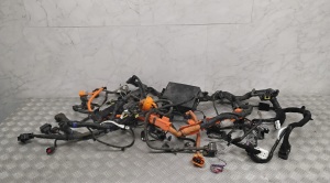   Engine wiring harness  - 91750G7520 