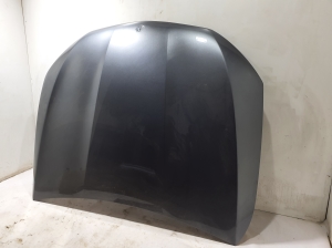Motorhaube - A24176003170