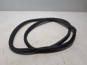   Rear side door seal on the door  - 7468733 