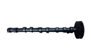 Camshaft - 11317790595