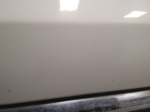 NISSAN Murano Z51 (2007–2015) Front door - 3