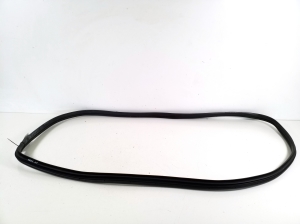 Hyundai IONIQ 5 I (2021–2026) Front door rubber seal 82110GI000 - 2