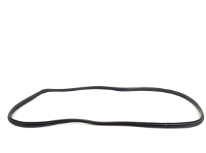 Hyundai IONIQ 5 I (2021–2026) Front door rubber seal 82120GI000 - 2