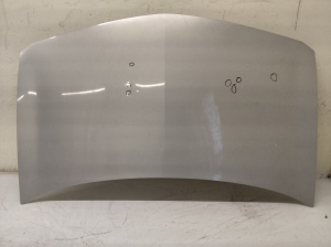 Motorhaube - 7703074596
