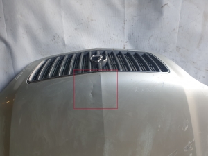 LEXUS RX MCU1 (1998–2003) Kapott - 6