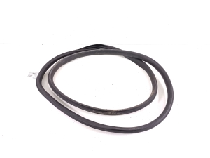   Front door rubber seal  - 149767391D 