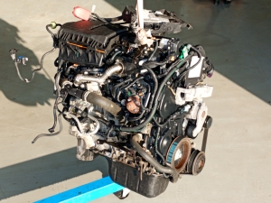   Complete engine  - DV6FCFAP 