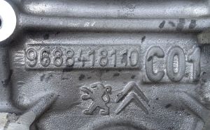 Citroen C4 Picasso (2007–2013) Plokikaas 9688418110 - 2