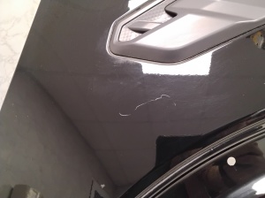 Ford Ranger (2015–2026) Front fender N1WB16015BE - 2