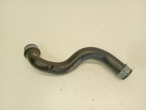   Radiator hose  - A1725010682 