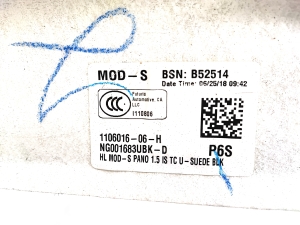 Tesla Model S S (2012–2026) Dachhimmel 1106016-06-H - 2