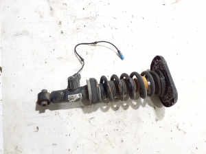 BMW X6 G06 / F96 (2019–2026) Stoßdämpfer hinten 9500365 - 3