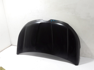 Hood - 651221723R