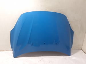   Hood  - 31391568 
