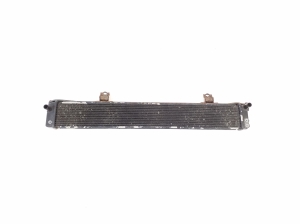 LEXUS RX GGL1 (2009–2015) Other radiator G901048040 - 2