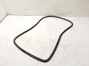   Rear side door seal on the door  - 84237252 