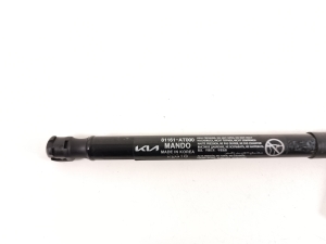 Kia Niro EX (2022–2026) Hood prop/gas strut 81161AT000 - 2
