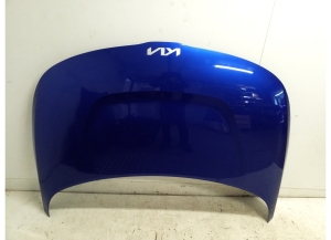   Hood  - 66400K0300 