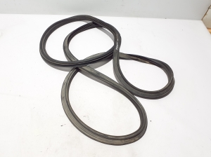   Trunk seal (on body)  - 95B827705J 
