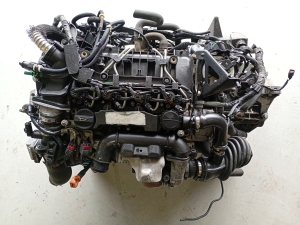 Ford Focus (2004–2011) Motor G8DD - 3